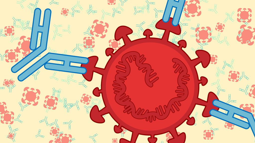 Israel anuncia descoberta de anticorpo contra o coronavírus