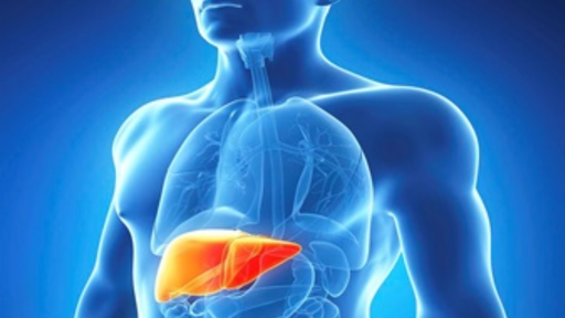 Pesquisa de Araraquara cria molécula que elimina fases do vírus da hepatite C