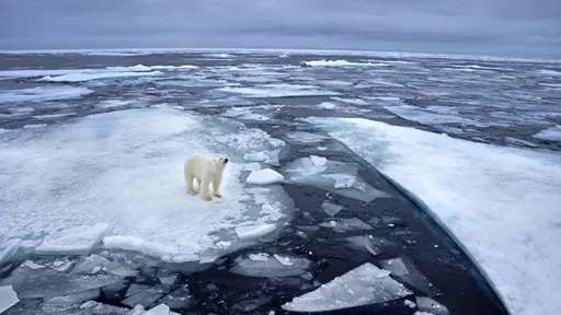 Projeto de US$ 500 bilhões pode resolver efeitos do aquecimento global no Ártico