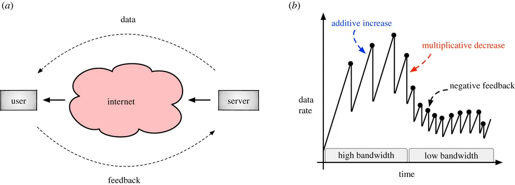 Aplicação do algoritmo de formigueiro em sistemas de transmissão de dados via internet (Imagem: Reprodução/CSHL)