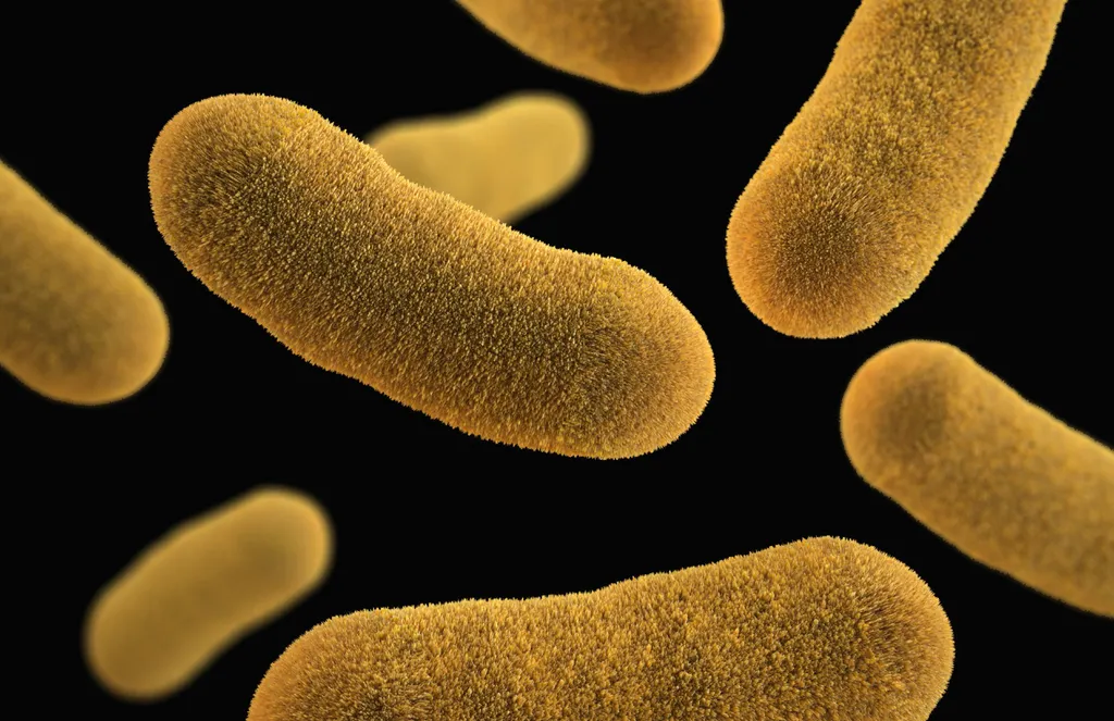 Ameaça de bactérias cada vez mais resistentes deve fazer com que cientistas descubram novos medicamentos, e a IA pode ser muito últil (Imagem: Imagesourcecurated/Envato)