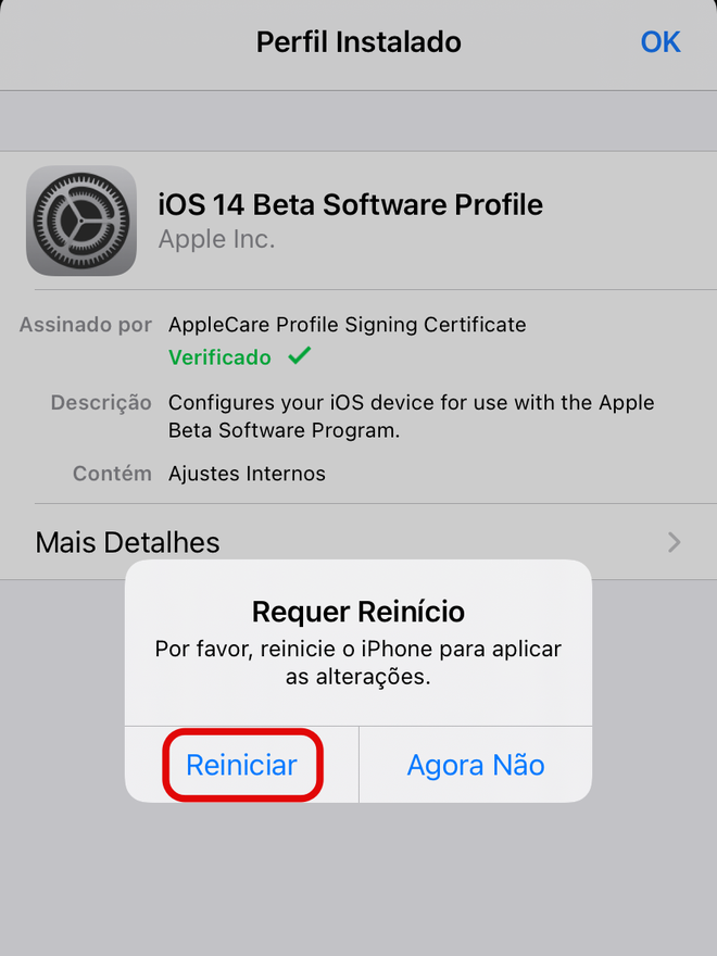 Reinicie o iPhone para terminar de configurar a instalação do software beta - Captura de tela: Thiago Furquim (Canaltech)