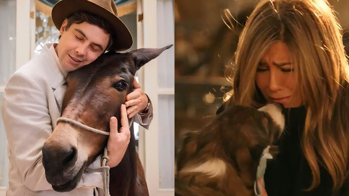 A IA já está substituindo e deixando até os animais "sem trabalho" em Hollywood
