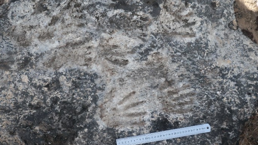Marcas fossilizadas encontradas no Tibete eram arte de crianças pré-históricas
