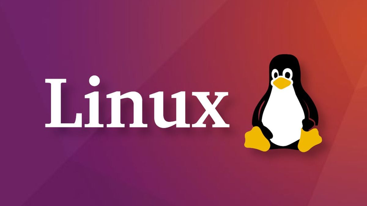 Como saber a versão do Linux - Canaltech