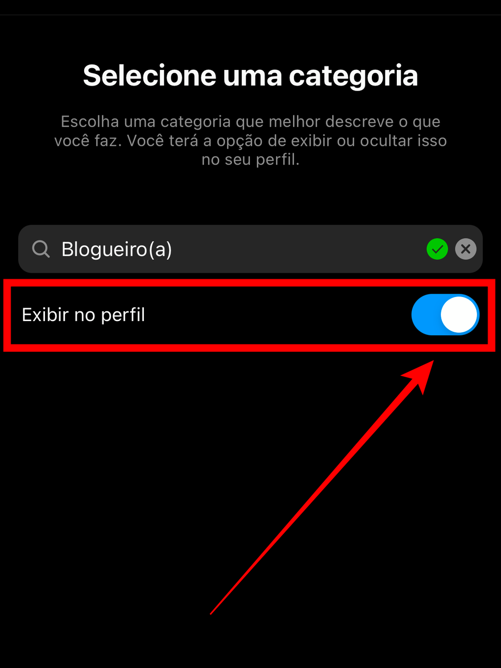 Escolha se o rótulo da categoria selecionada ficará visível no seu perfil (Imagem: Caio Carvalho/Captura de tela)