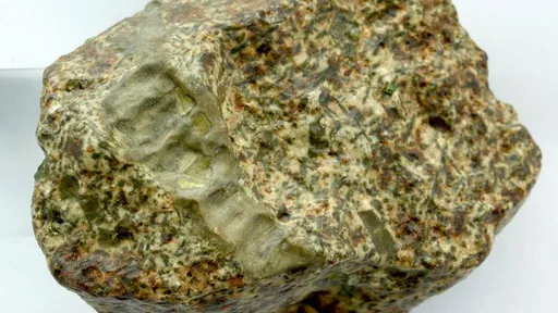Este meteorito pode ter se originado de um protoplaneta mais antigo que a Terra