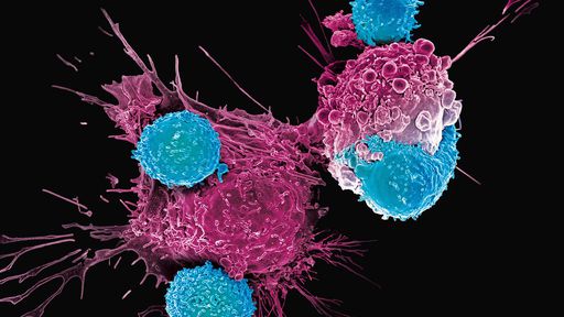 Combate ao câncer | 4 novas tecnologias promissoras para o tratamento da doença