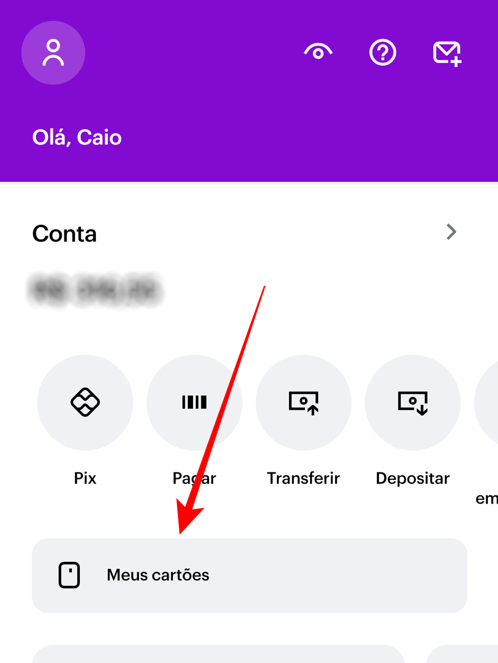 Perdeu seu cartão de crédito Nubank? Saiba como pedir a segunda via