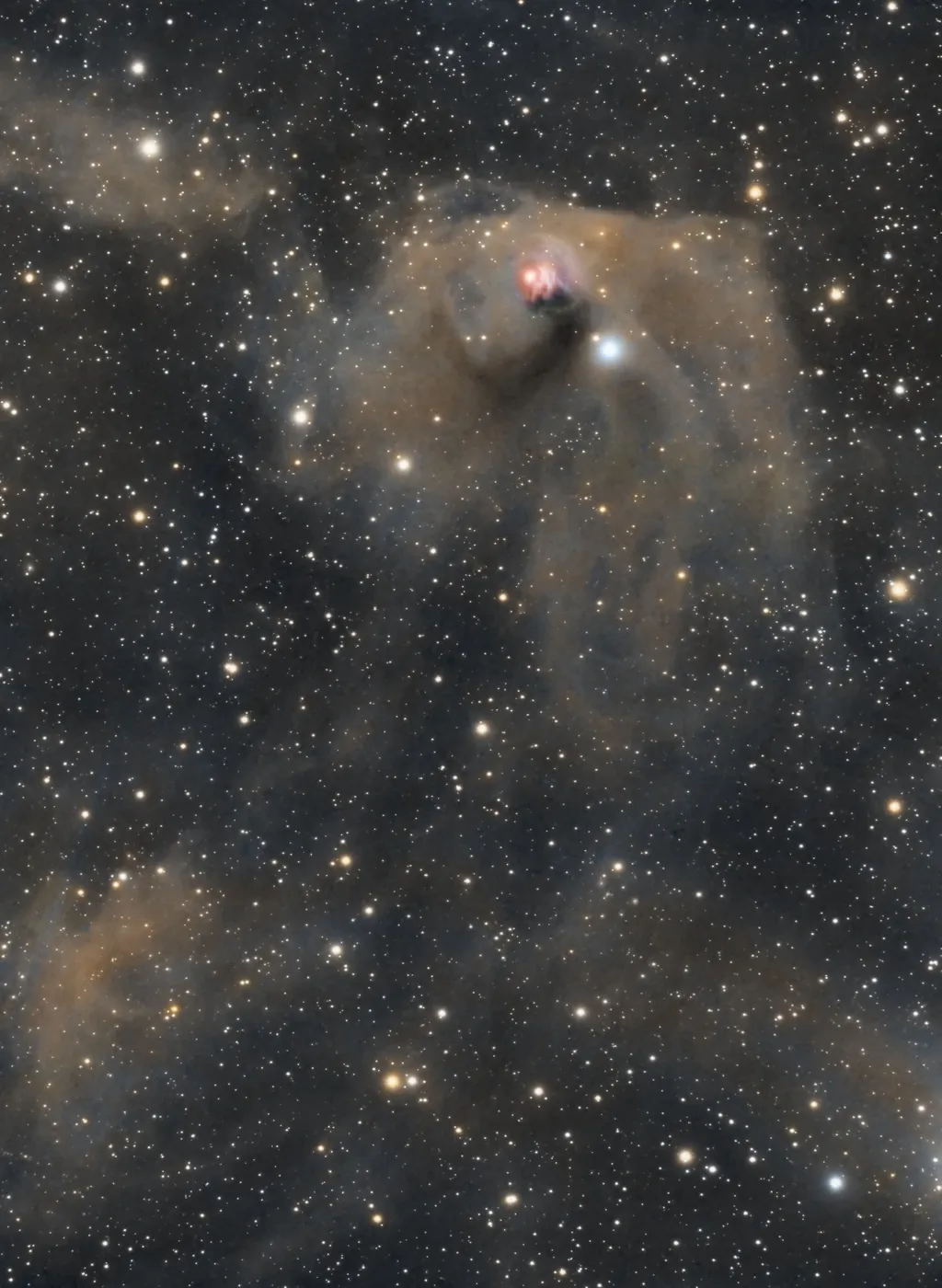 Estrela T Tauri, acompanhada da Nebulosa Hind (Imagem: Reprodução/Dawn Lowry, Gian Lorenzo Ferretti, Ewa Pasiak e Terry Felty)