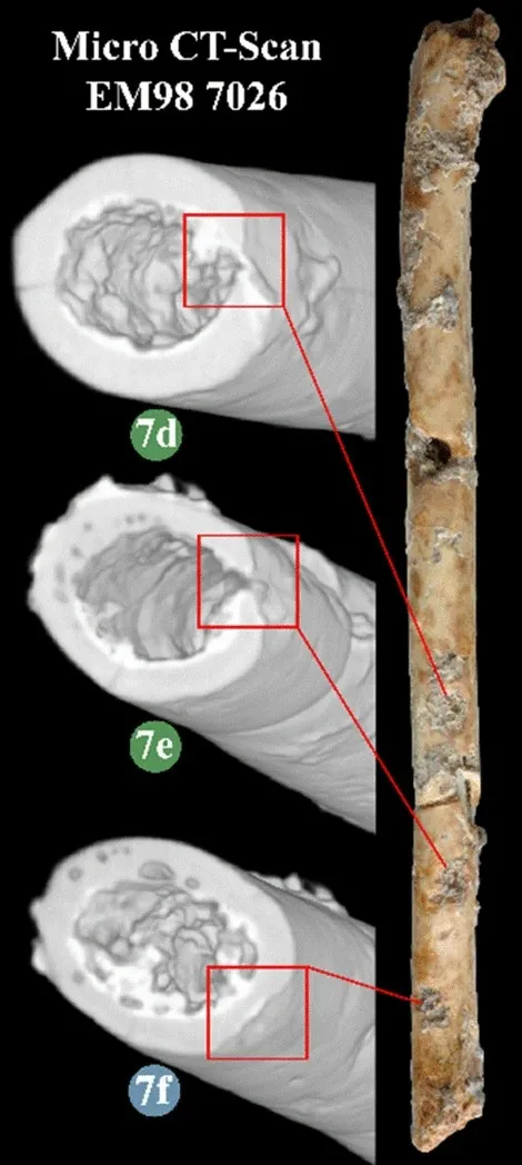 Os detalhes da flauta, revelados por tomografia computadorizada, foram reproduzidos em cópias 3D que os cientistas puderam tocar (Imagem: Davin et al./Scientific Reports)