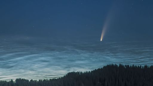 Sondas espaciais que estudam o Sol também fotografam o cometa NEOWISE; veja!