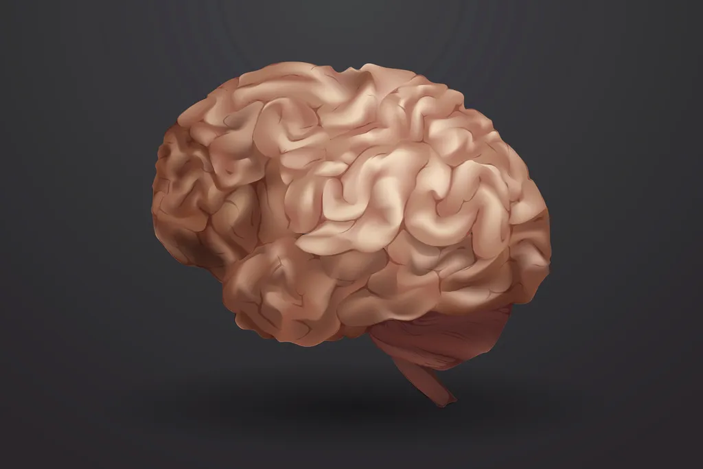 Cérebro pode indicar tendência a transtorno do estresse pós-traumático (Imagem: Aew/Rawpixel)