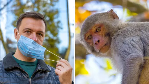 Giro da Saúde: nova onda de covid-19; varíola dos macacos será a nova pandemia? 