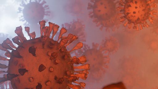 Estudo revela anticorpos que podem neutralizar todas as variantes do coronavírus