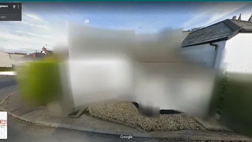 Street View flagra homem em "momento íntimo" e vídeo viraliza