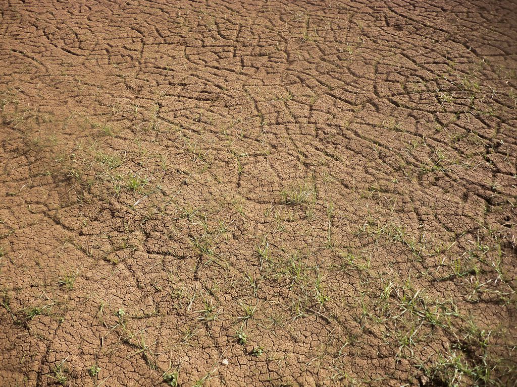 Aquecimento global favorece eventos extremos no Brasil, como fortes chuvas ou secas prolongadas (Imagem: Çağlar Oskay/Unsplash)