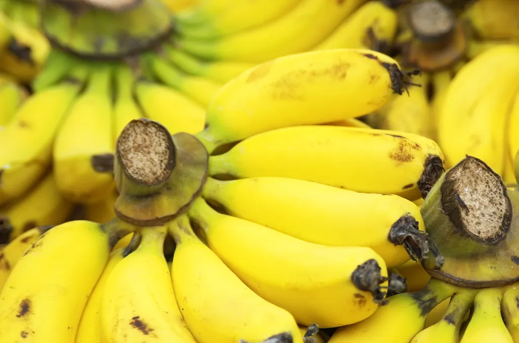 Comer muita banana pode impactar os efeitos de alguns medicamentos (Imagem: Vmariia/Envato)