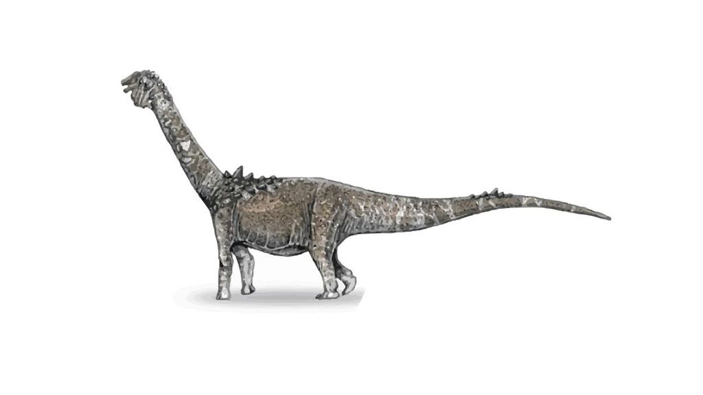 Adamantisaurus mezzalirai 