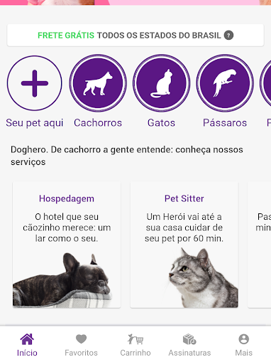 10 aplicativos para quem tem gatos em casa