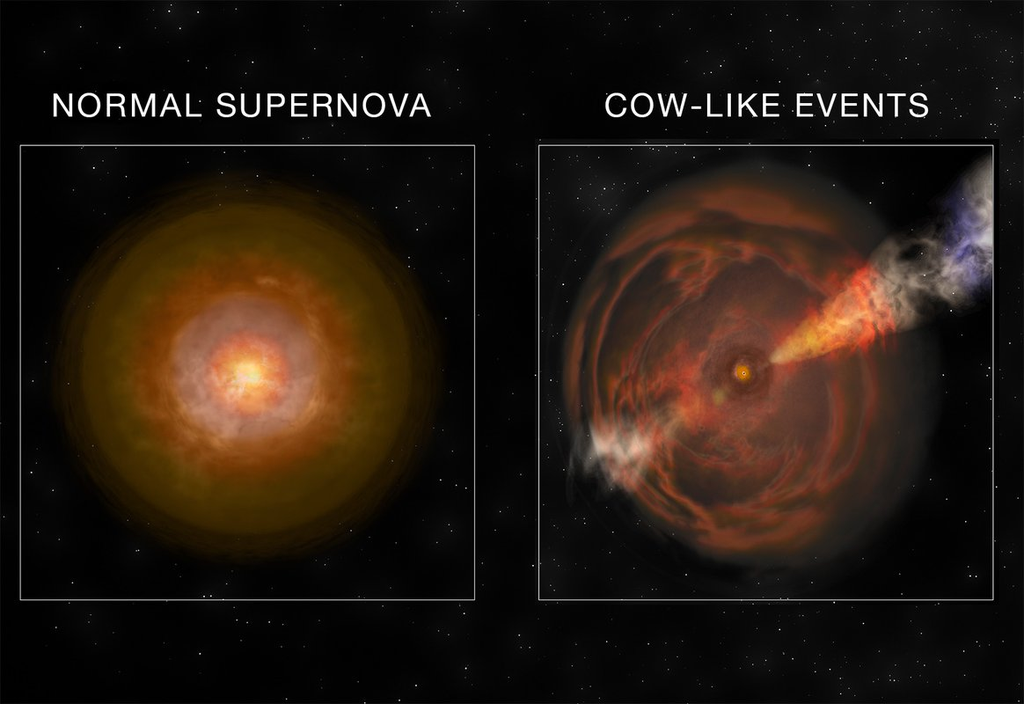 Comparação entre uma supernova "comum" e uma supernova Cow (Imagem: Reprodução/Bill Saxton, NRAO/AUI/NSF)