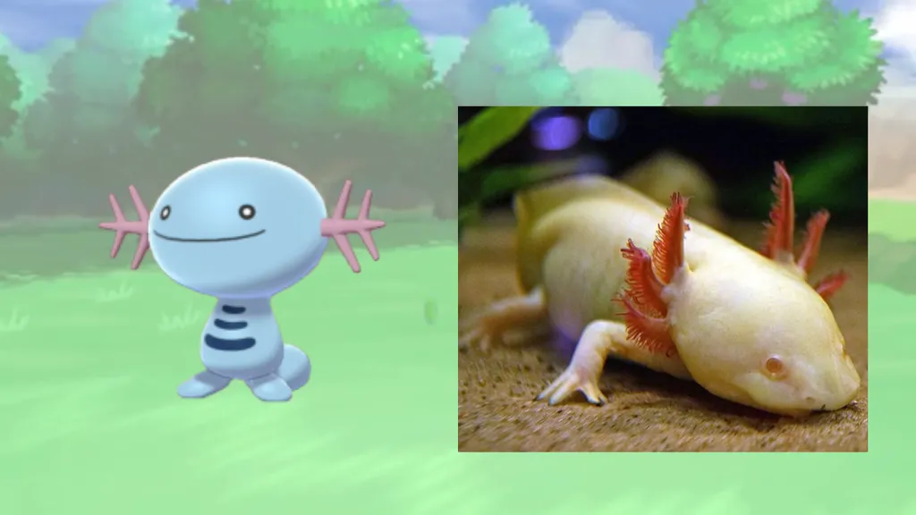 10 Pokémon que lembram animais bizarros da vida real - Canaltech