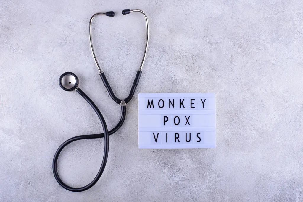 Ministério da saúde vai receber antiviral para combater varíola dos macacos (Imagem: furmanphoto/envato)