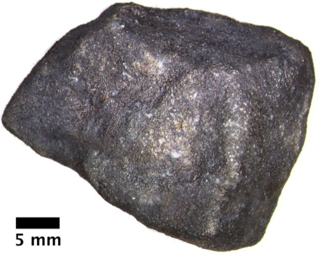 O fragmento do meteorito (Imagem: Reprodução/Field Museum)
