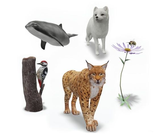 Saiba como ver animais em 3D no Google pelo celular