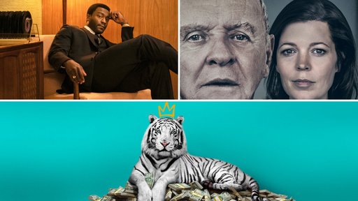 Oscar 2021 | Quem deve ganhar o Melhor Roteiro Adaptado?