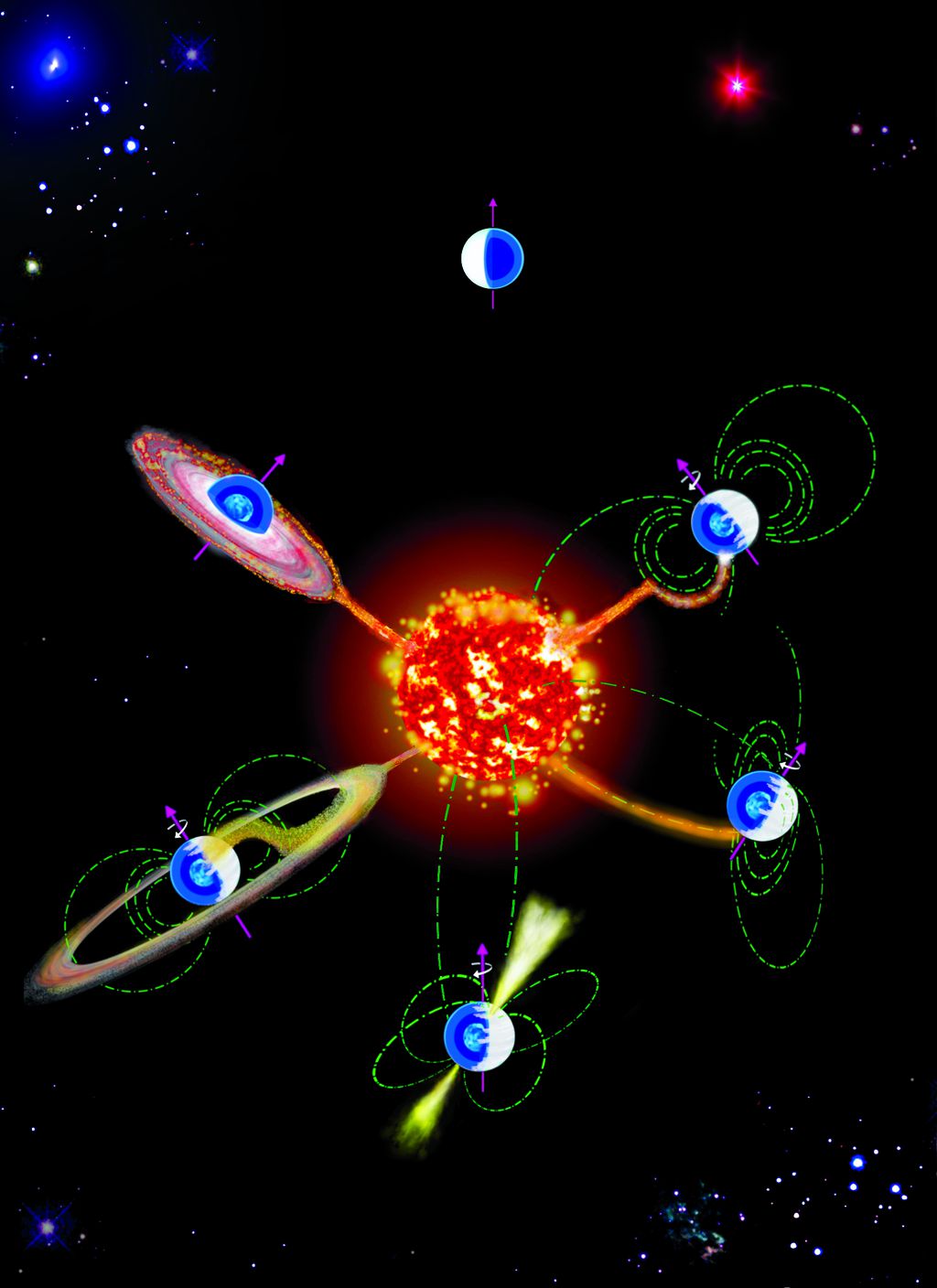Ilustração da origem dos campos magnéticos em anãs brancas binárias, para ser lido no sentido anti-horário. O campo magnético aparece quando a anã branca se alimenta de uma estrela companheira e, como consequência, começa a girar rapidamente (Imagem: Reprodução/Paula Zorzi)