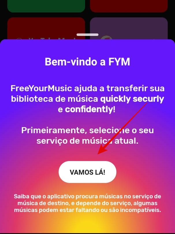 Acesse o app FreeYourMusic (Imagem: Guadalupe Carniel/Captura de tela)