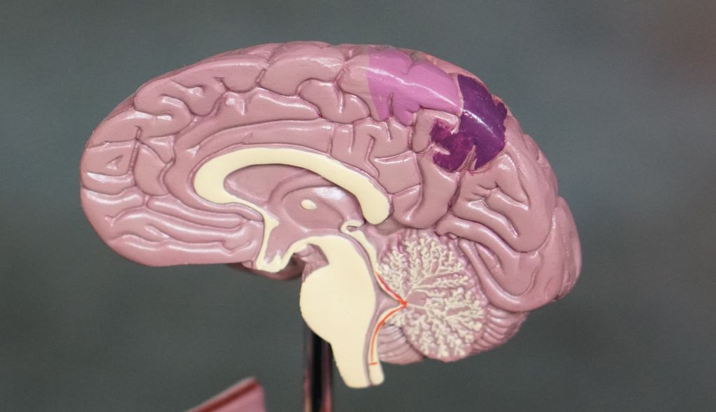 Estimulação elétrica no cérebro pode ajudar depressão, segundo estudo da Universidade da Califórnia (Imagem:  Robina Weermeijer / Unsplash)