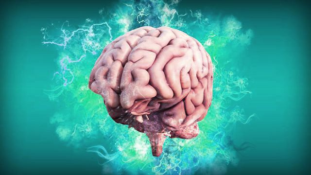 AI muda a maneira como cientistas entendem o cérebro humano