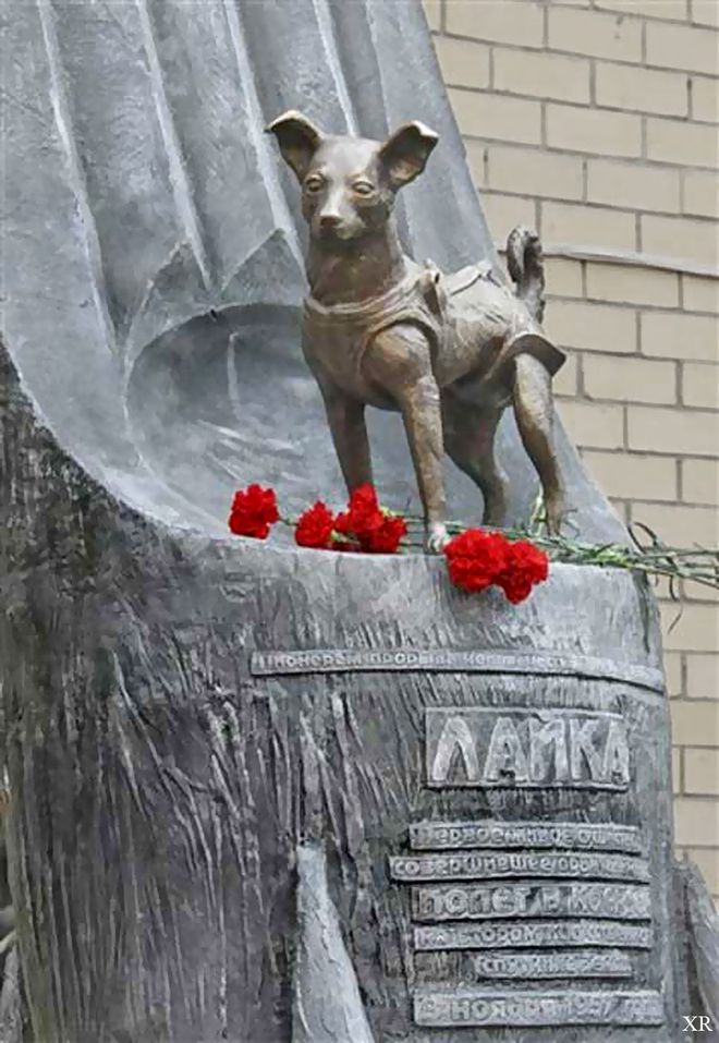 Monumento em homenagem à cadela Laika em Moscou (Imagem: Reprodução/Flickr/James Vaughan)