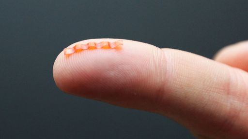 Lagarta robótica usa luz para se locomover e carrega até 10 vezes a sua massa