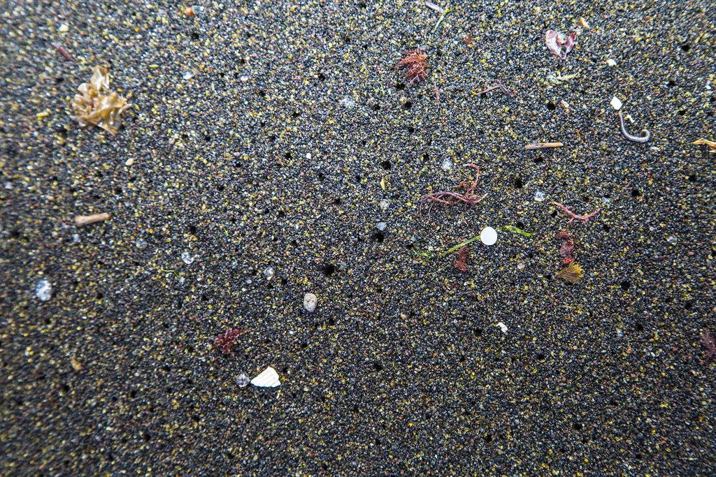 Microplásticos em Açores, Portugal (Imagem: Peter Charaf/Wikimedia Commons)