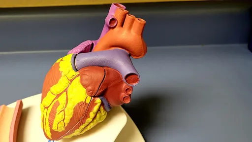 Covid-19 pode danificar tecido cardíaco, segundo estudo