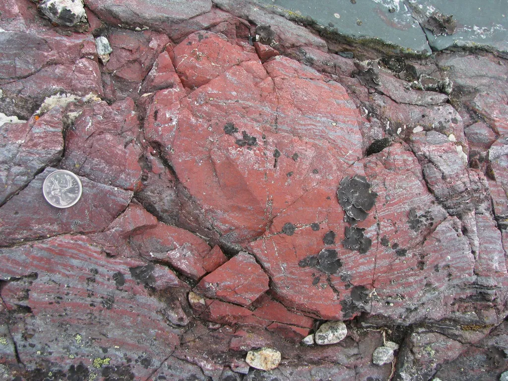 Hematita avermelhada, onde foram encontrados microfósseis tubulares e filamentosos (Imagem: Reprodução/D. Papineau.)