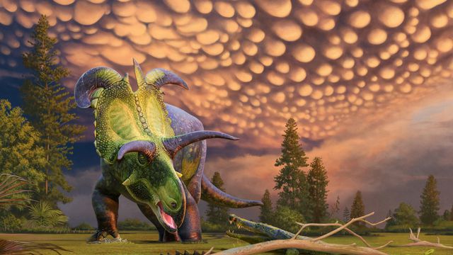 Andrey Atuchin/Museum of Evolution in Maribo/CC BY-NC-ND