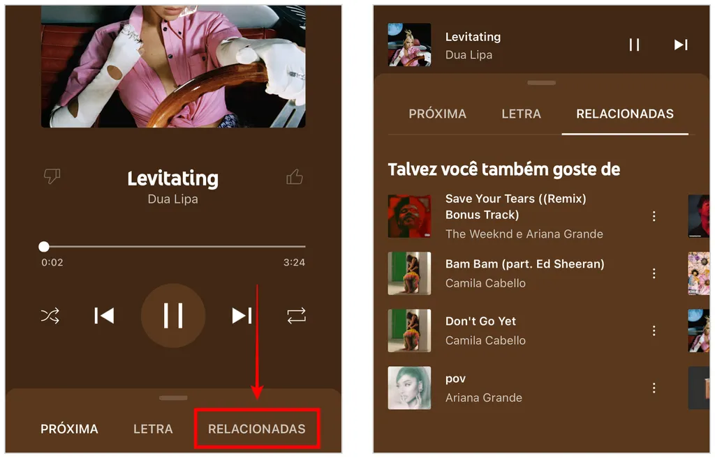 Aba de músicas relacionadas ajuda a encontrar artistas similares no YouTube Music (Captura de tela: Caio Carvalho)