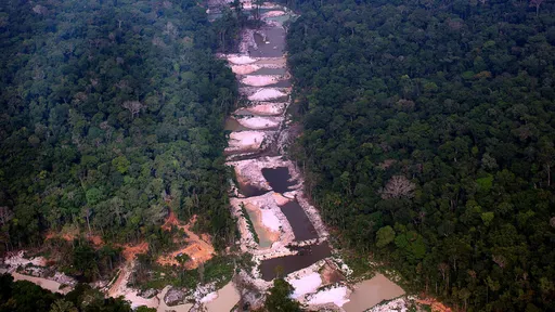 Desmatamento da Amazônia pode prejudicar combate ao aquecimento global