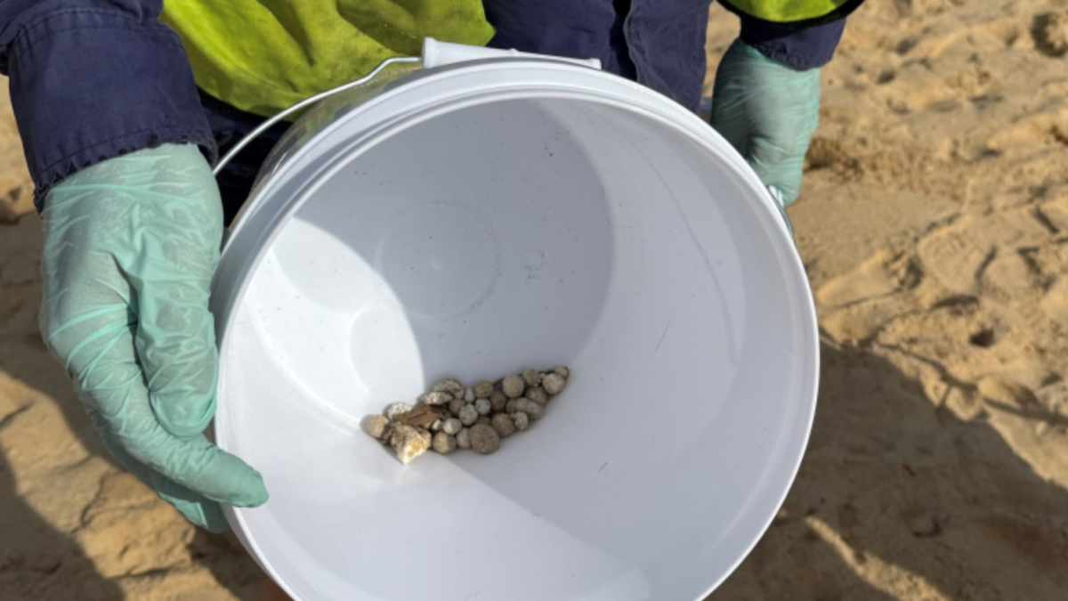 Bolinhas misteriosas em praias da Austrália contêm coliformes fecais