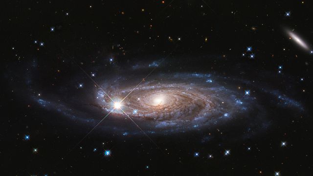 NASA, ESA, B. Holwerda (University of Louisville)