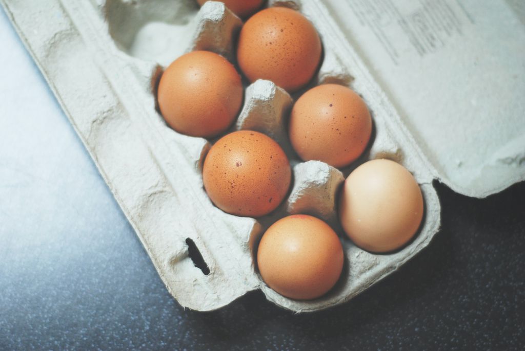Estudo busca esclarecer benefícios que comer ovo pode trazer à saúde (Imagem: Nik/Unsplash)