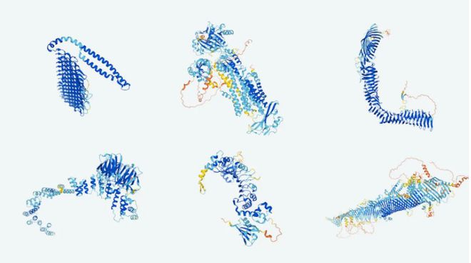 Essas são as estruturas tridimensionais mapeadas de proteínas da Malária, Tuberculose, Escherichia coli e levedura de fissão (Imagem: Reprodução/DeepMind)