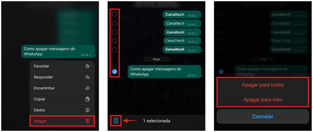 Como apagar mensagem do WhatsApp: exclua os itens para todos ou só para você (Captura de tela: Caio Carvalho)