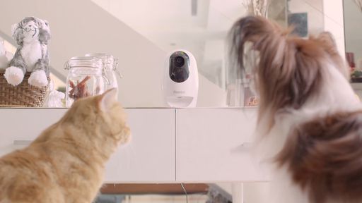 Acer vai lançar linha de acessórios para animais de estimação