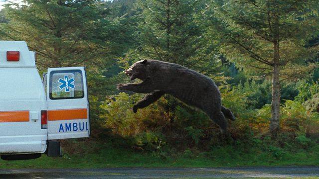 O URSO DO PÓ BRANCO - O MAIOR FILME DE URSO CHEIRAD0 DA HISTÓRIA