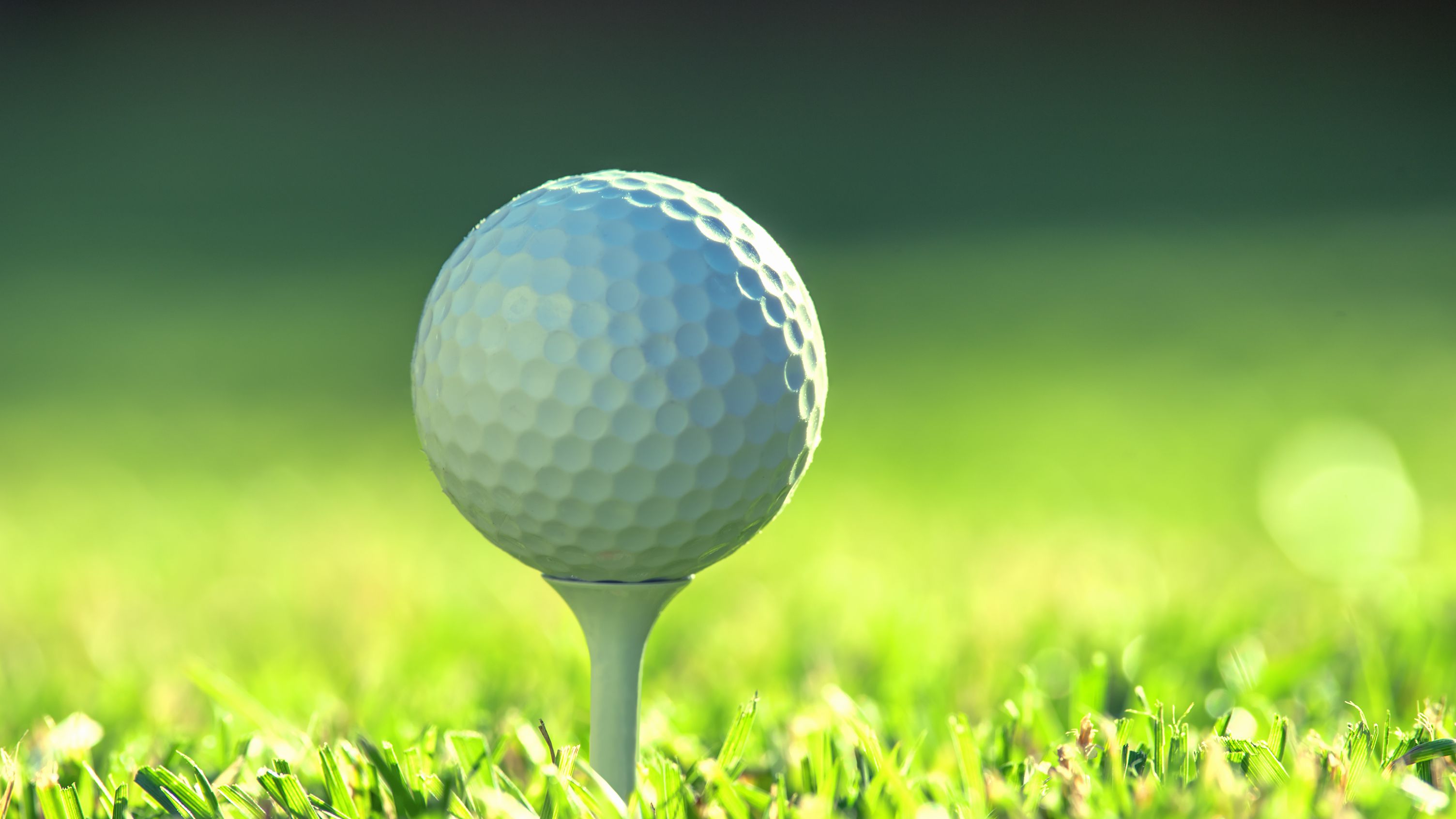 Prepare a sua partida de golfe, Suporte aplicativo Golf